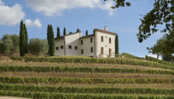 bertani