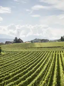 alto adige