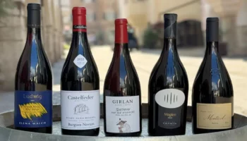 concorso pinot nero