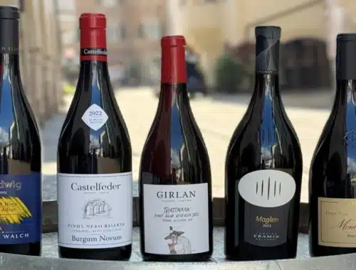 concorso pinot nero