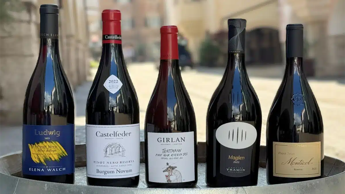 concorso pinot nero