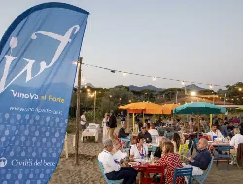 vinovip al forte