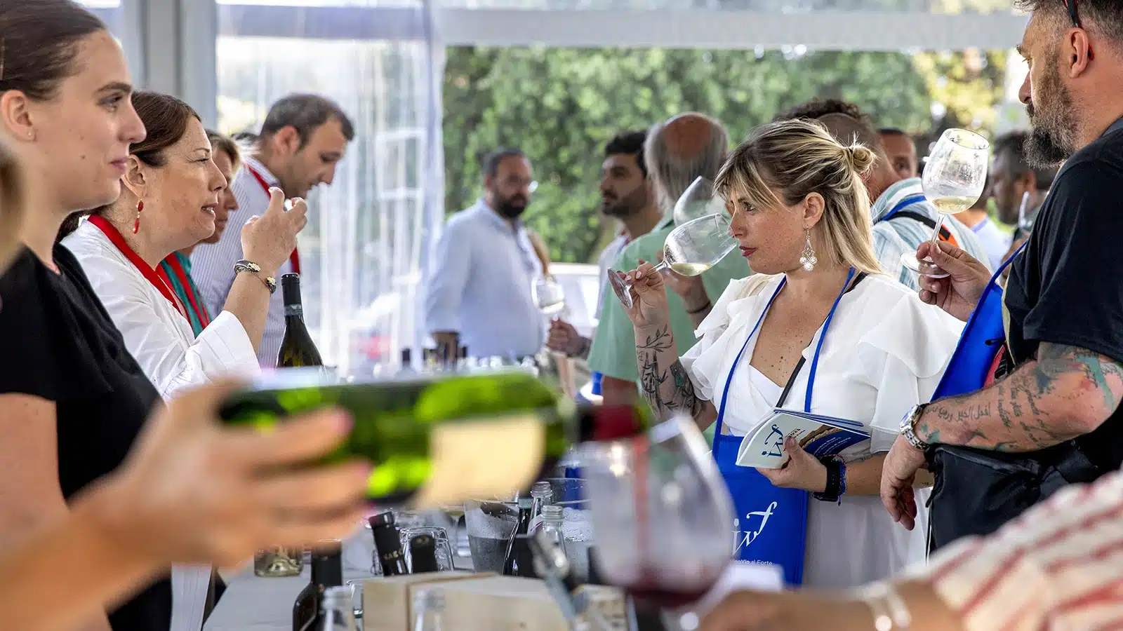 vinovip al forte