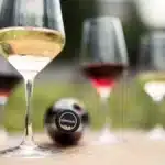 alto adige wine summit