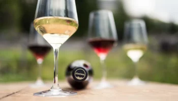 alto adige wine summit