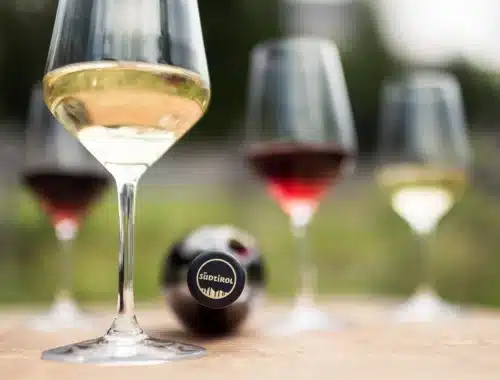 alto adige wine summit