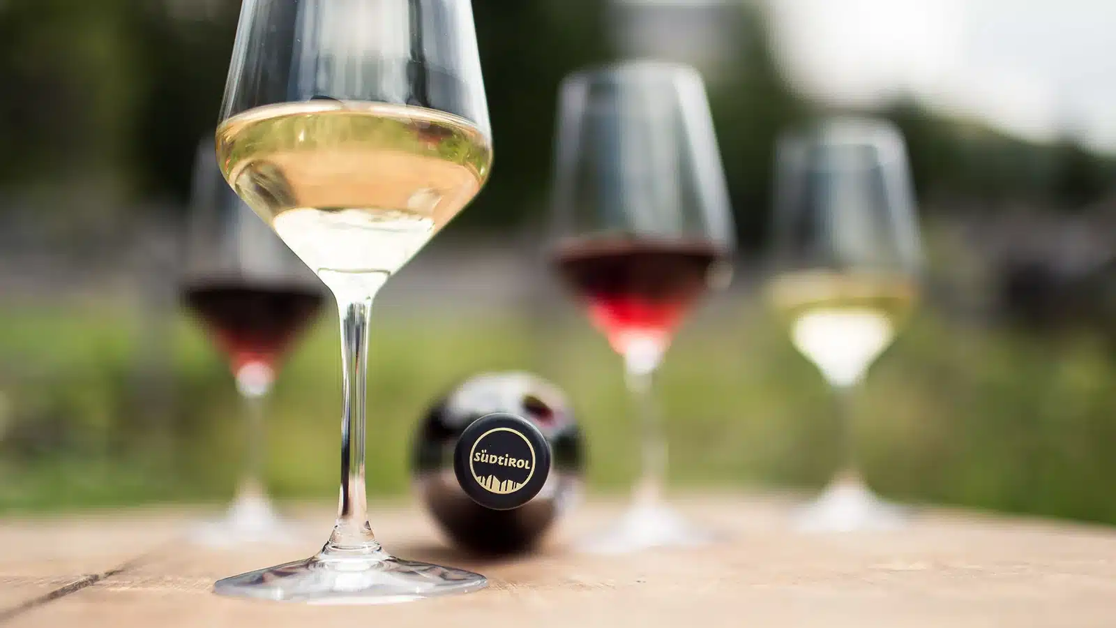 alto adige wine summit