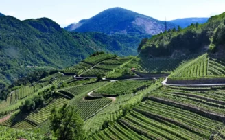 valle di cembra