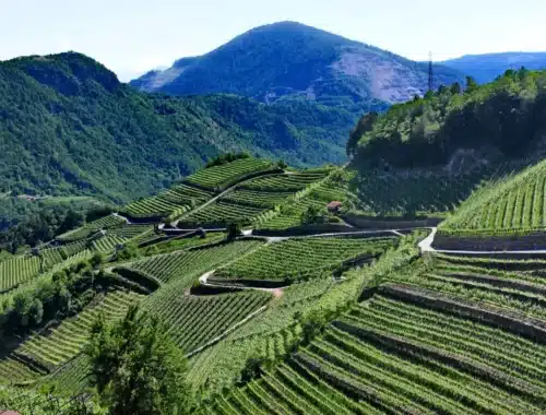 valle di cembra