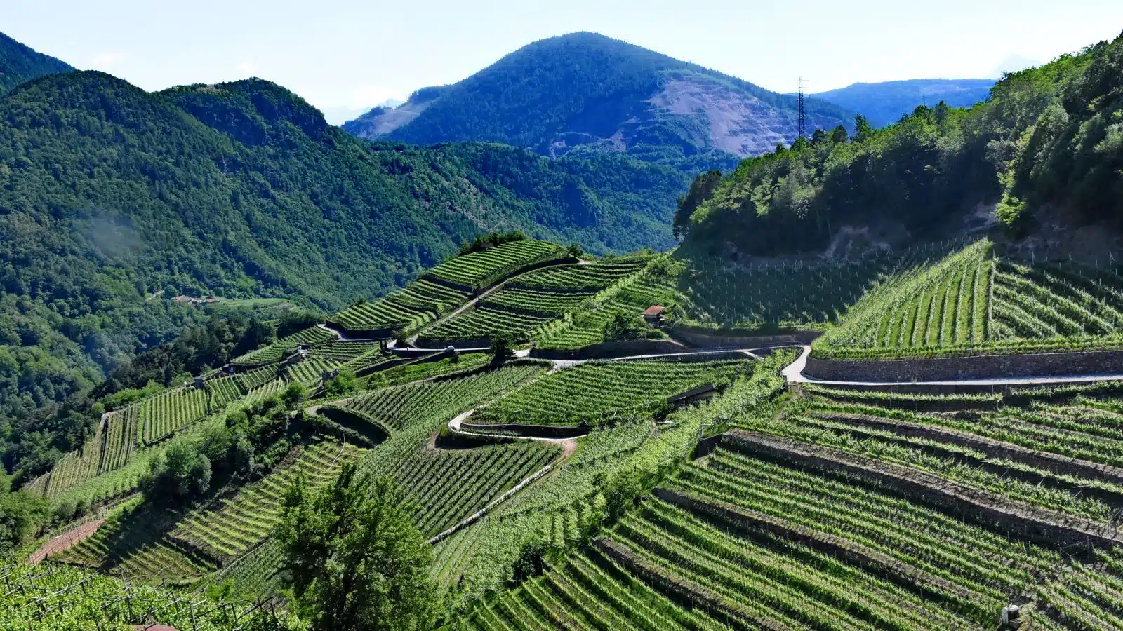 valle di cembra