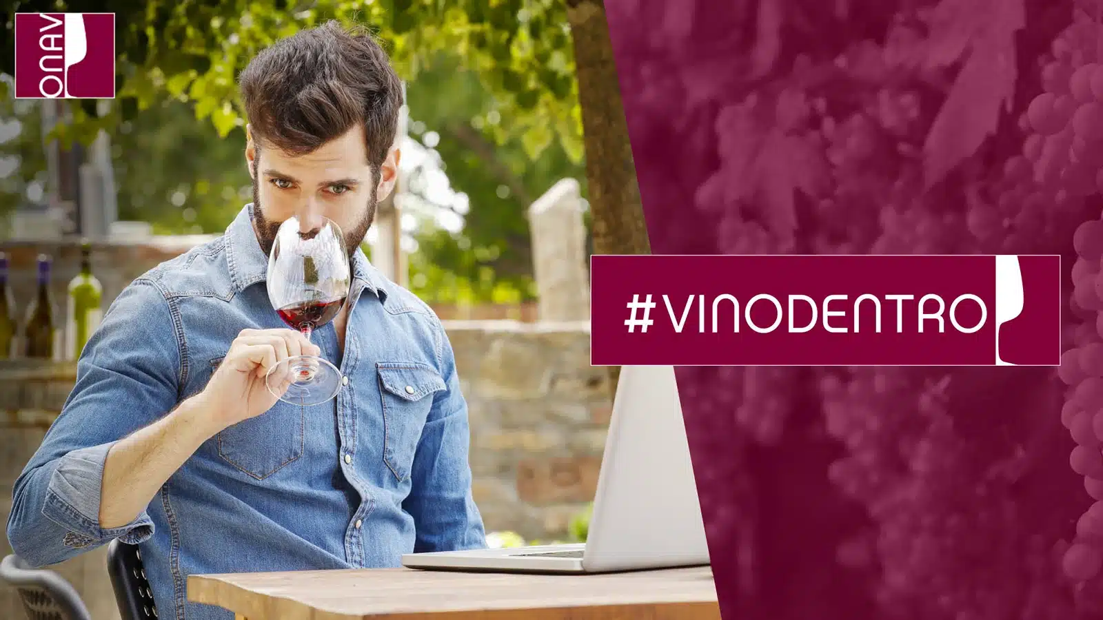 vinodentro onav