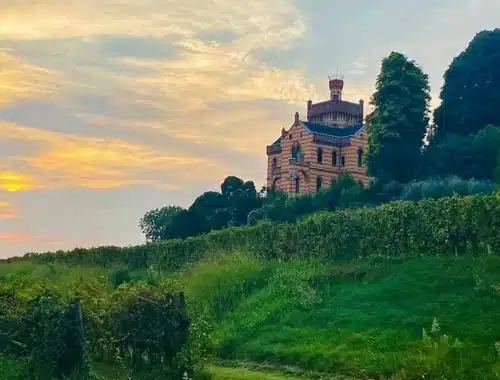 castello bonomi