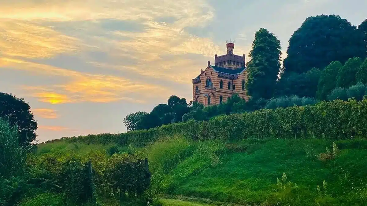 castello bonomi