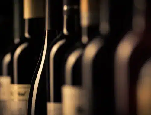 export vini 2025