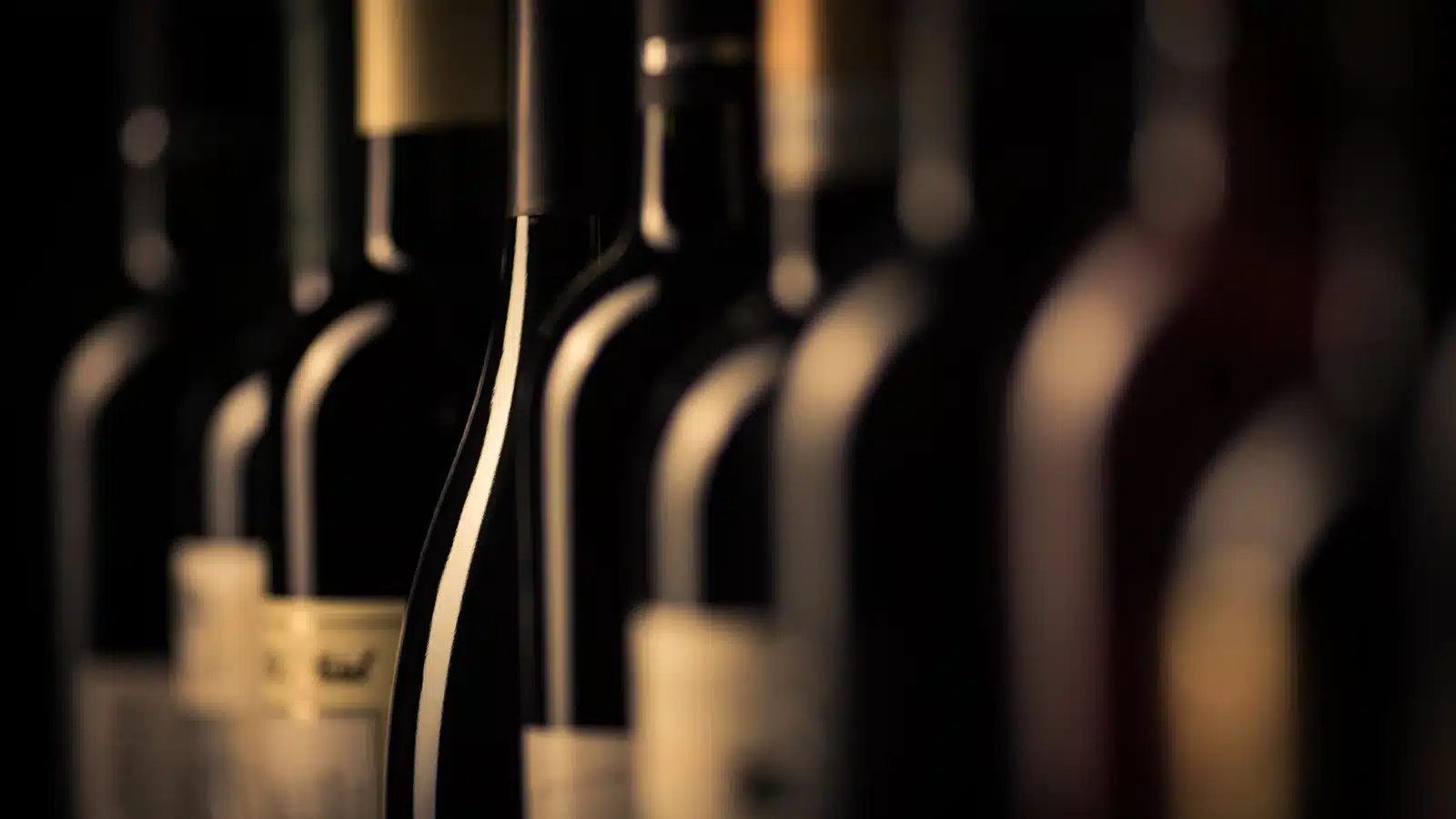 export vini 2025
