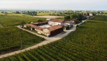 azienda agricola marangona