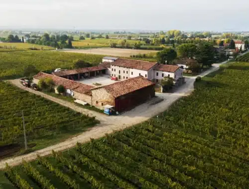 azienda agricola marangona