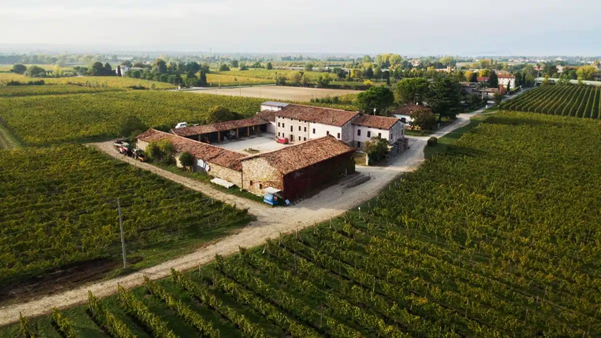 azienda agricola marangona