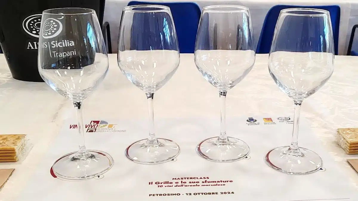 vino vivo