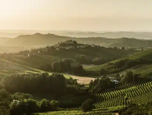 asti docg