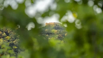 asolo montello