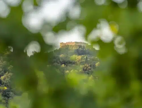 asolo montello