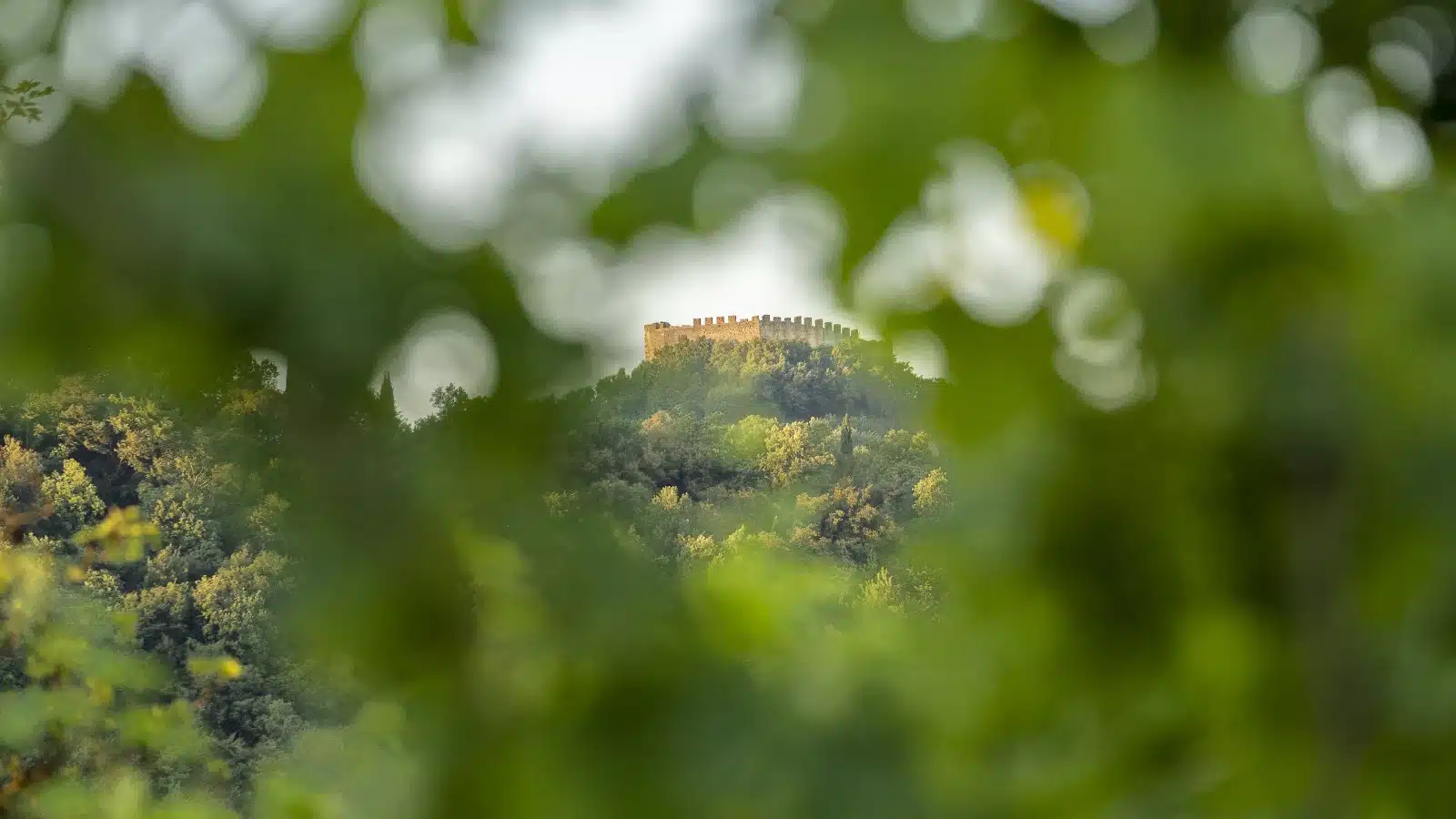 asolo montello