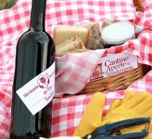 merenda in vigna