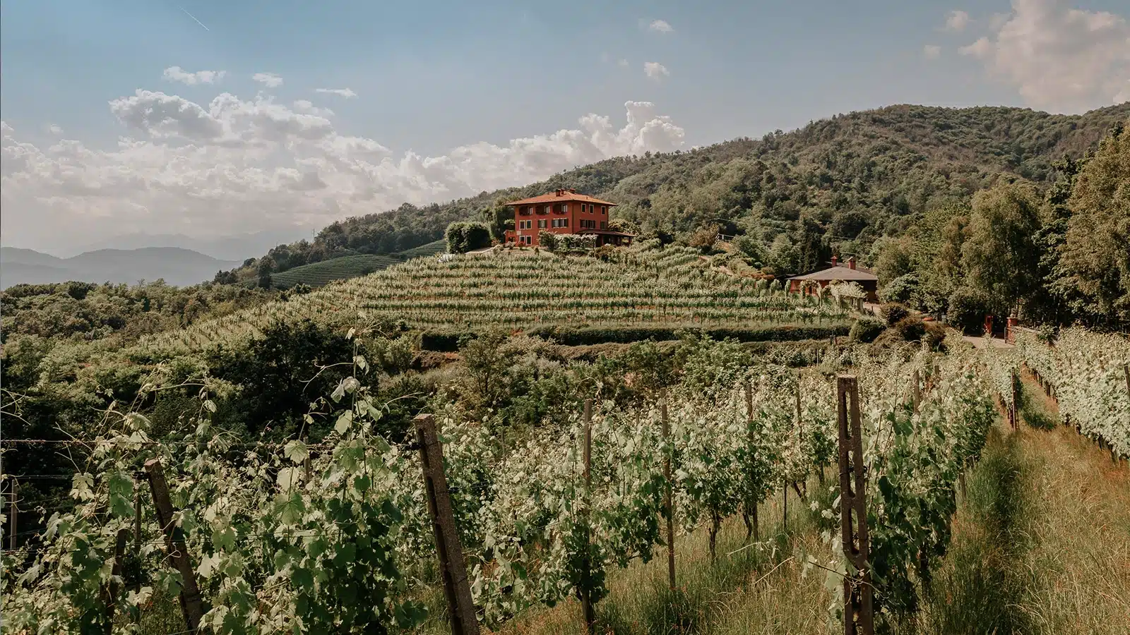 taste alto piemonte
