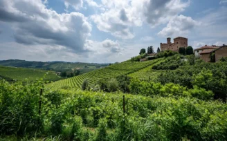 barolo en primeur