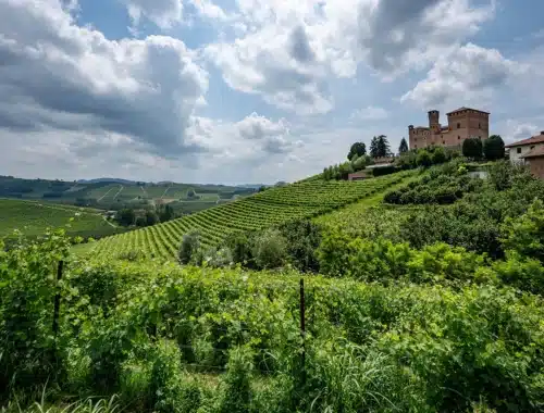 barolo en primeur