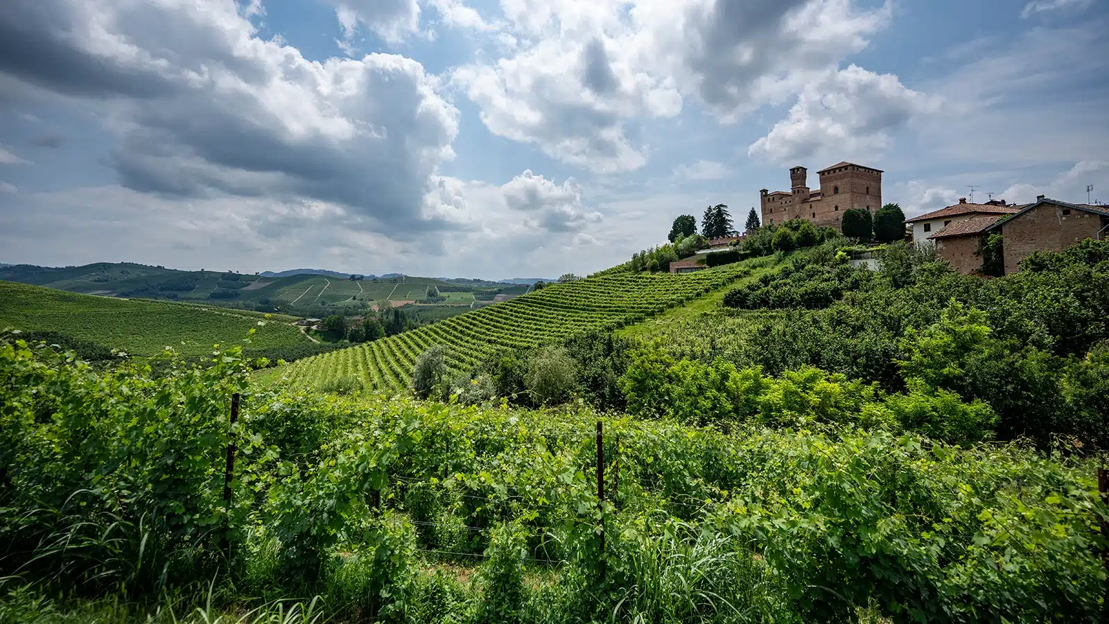 barolo en primeur