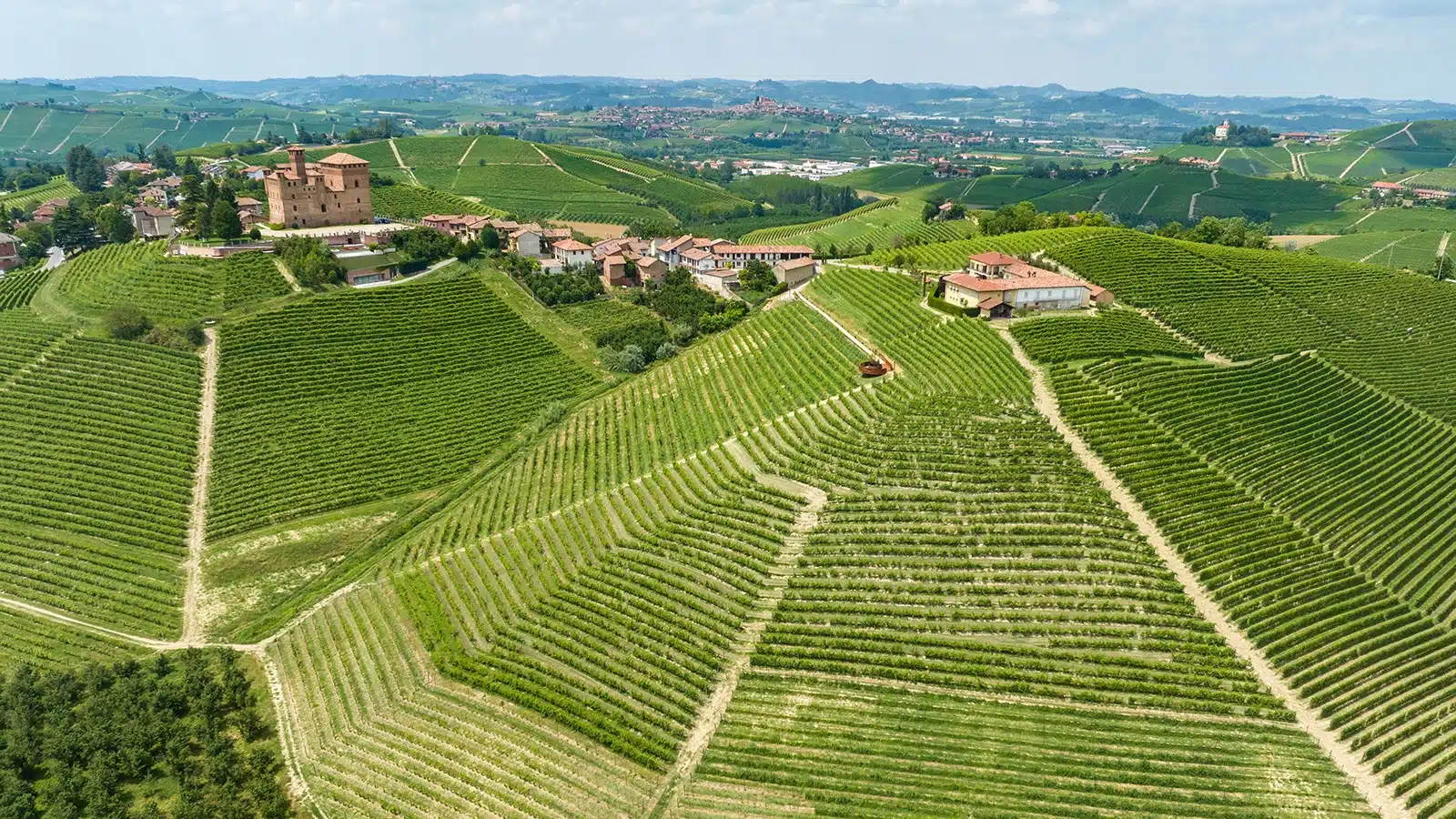 barolo en primeur