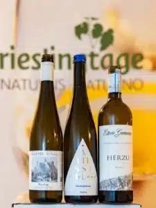 concorso riesling