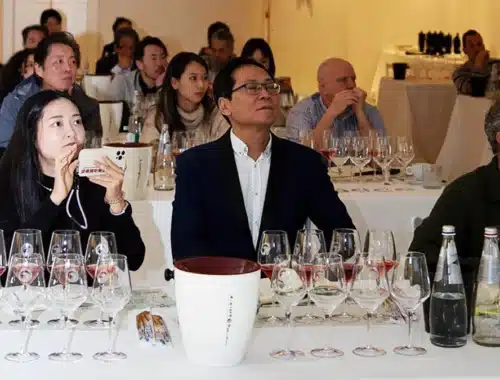 abruzzo wine academy