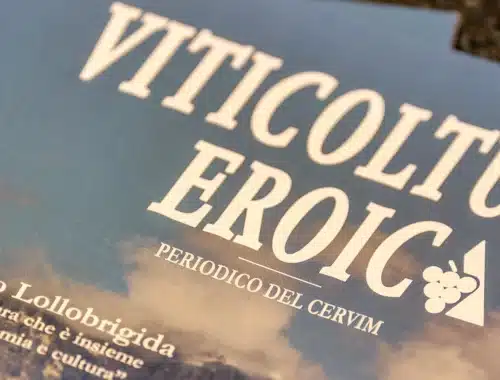 cervim rivista