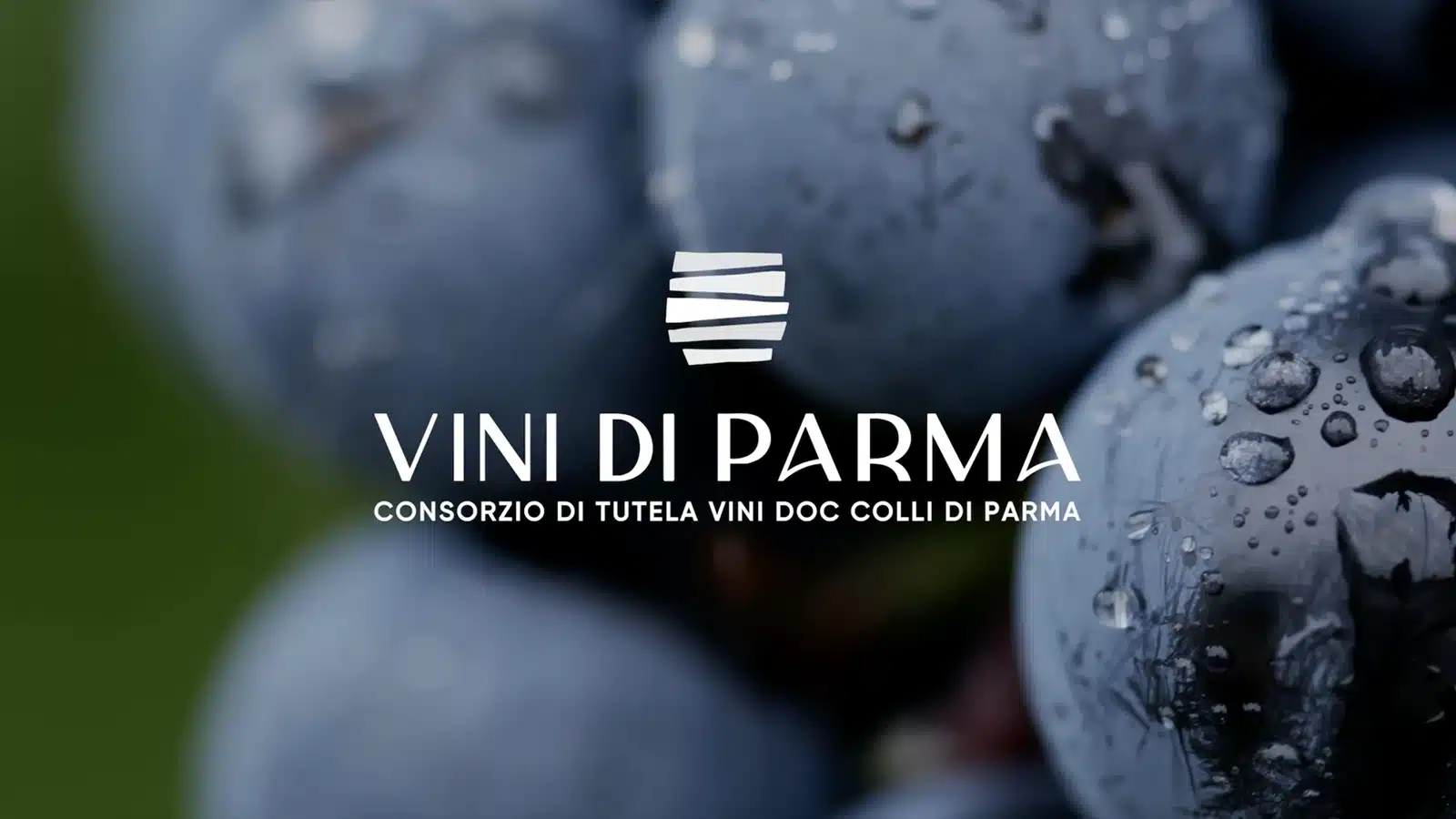 vini di parma