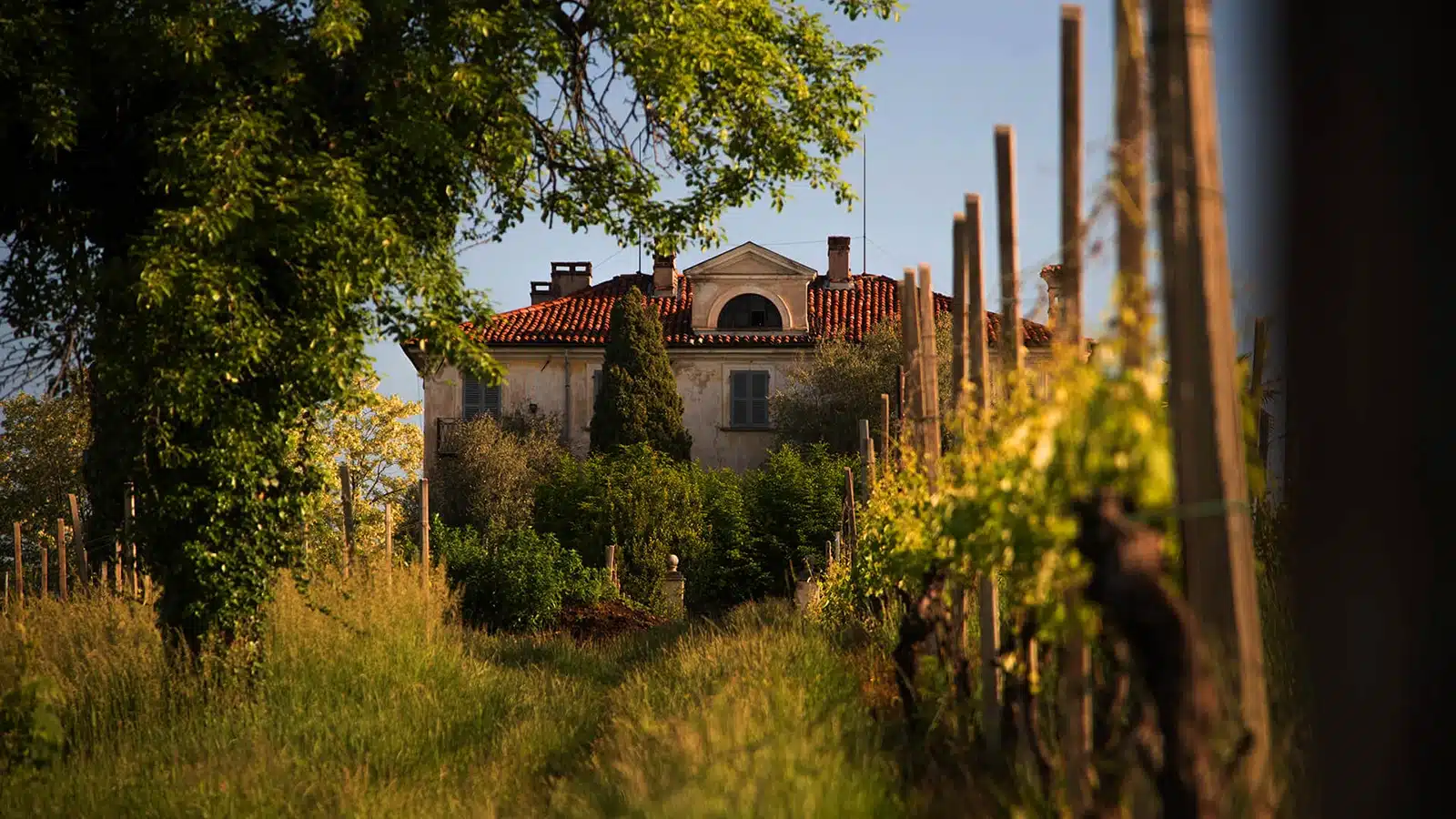 lessona tenute sella