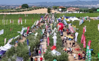 enovitis in campo