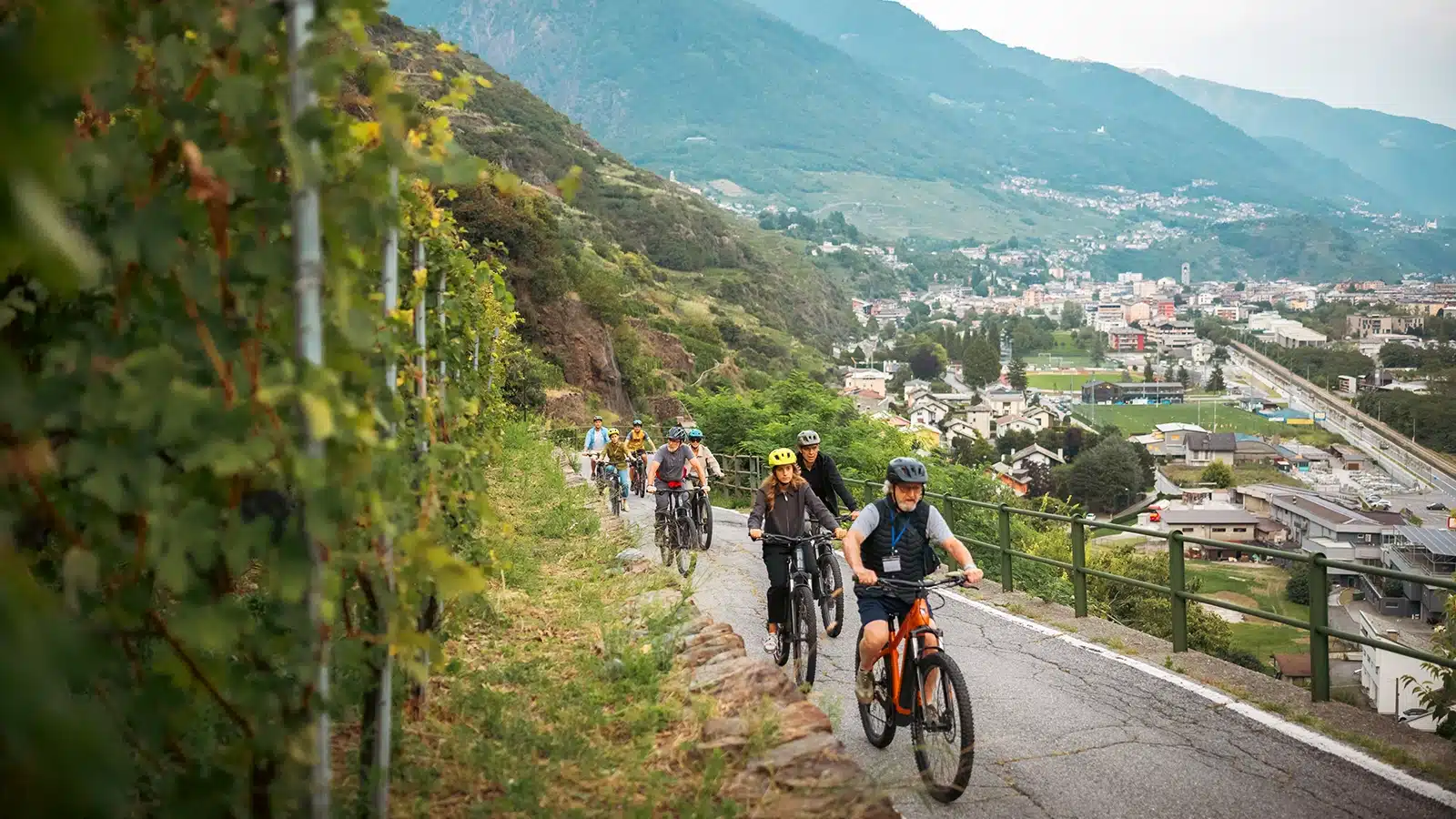 viva vini valtellina