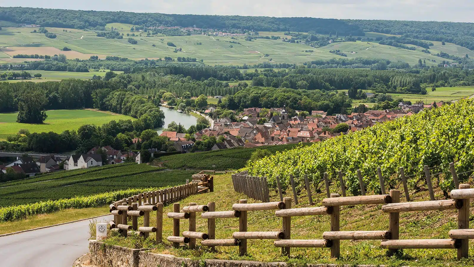 oscarwine freepress 4