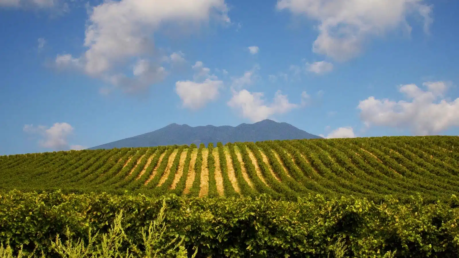 gusto nobile basilicata