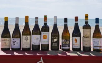 vermentino grand prix