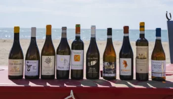 vermentino grand prix