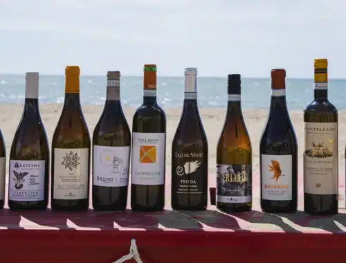 vermentino grand prix