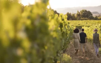 cantine aperte toscana
