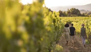cantine aperte toscana