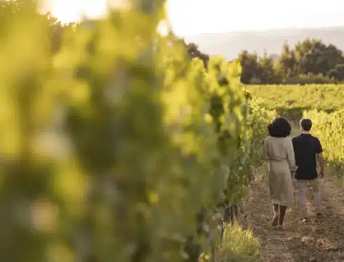 cantine aperte toscana