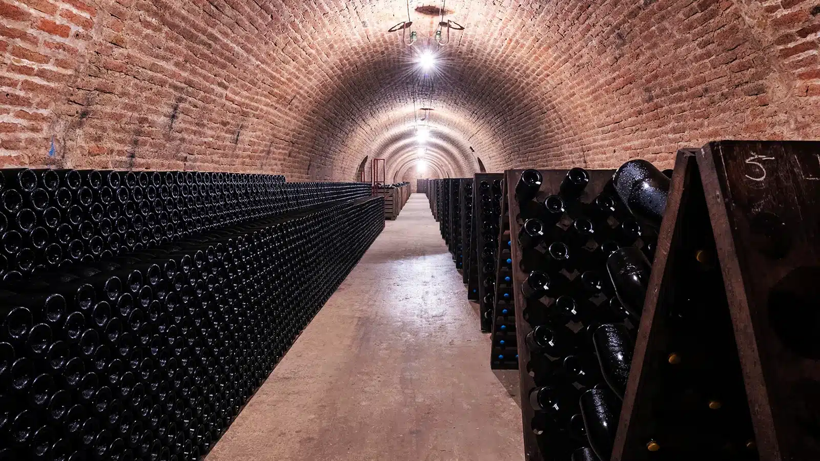 champagne cattier