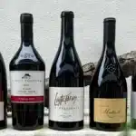 pinot nero